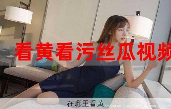 在哪里看黄