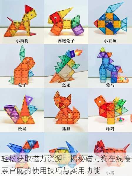 轻松获取磁力资源:揭秘磁力狗在线搜索官网的使用技巧与实用功能