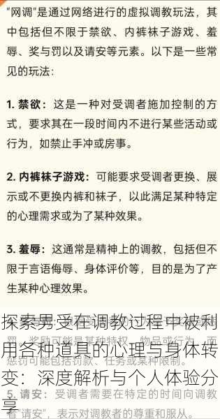 探索男受在调教过程中被利用各种道具的心理与身体转变:深度解析与个人体验分享