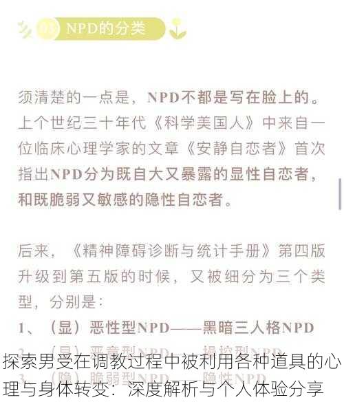 探索男受在调教过程中被利用各种道具的心理与身体转变:深度解析与个人体验分享