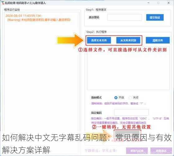 如何解决中文无字幕乱码问题：常见原因与有效解决方案详解