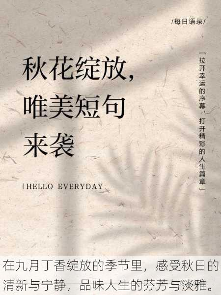 在九月丁香绽放的季节里，感受秋日的清新与宁静，品味人生的芬芳与淡雅。