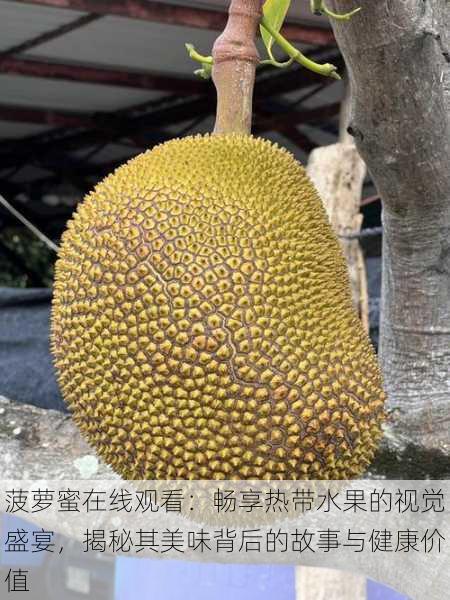 菠萝蜜在线观看:畅享热带水果的视觉盛宴,揭秘其美味背后的故事与健康价值