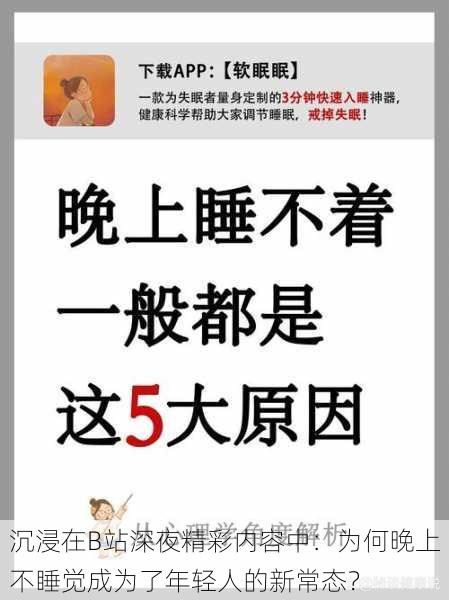 沉浸在B站深夜精彩内容中:为何晚上不睡觉成为了年轻人的新常态?