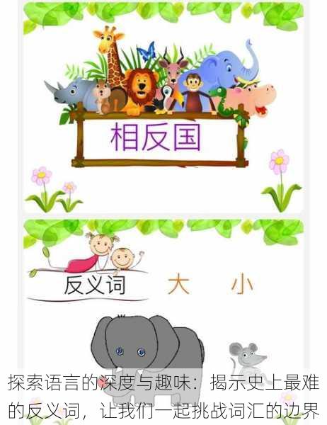 探索语言的深度与趣味:揭示史上最难的反义词,让我们一起挑战词汇的边界