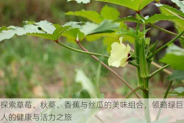 探索草莓、秋葵、香蕉与丝瓜的美味组合,领略绿巨人的健康与活力之旅