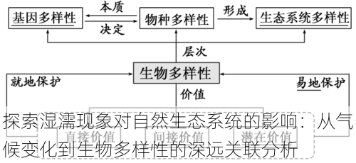 探索湿濡现象对自然生态系统的影响:从气候变化到生物多样性的深远关联分析