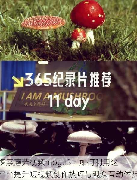 探索蘑菇视频mogu3:如何利用这一平台提升短视频创作技巧与观众互动体验