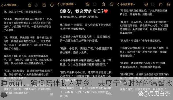 睡觉前,狗狗陪伴我入梦乡:共度宁静时光的温馨故事