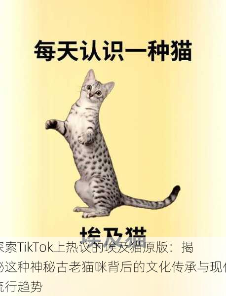 探索TikTok上热议的埃及猫原版：揭秘这种神秘古老猫咪背后的文化传承与现代流行趋势