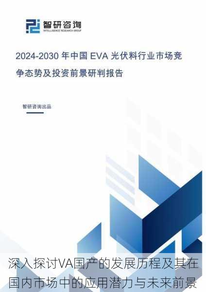 深入探讨VA国产的发展历程及其在国内市场中的应用潜力与未来前景