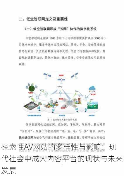 探索性AV网站的多样性与影响:现代社会中成人内容平台的现状与未来发展