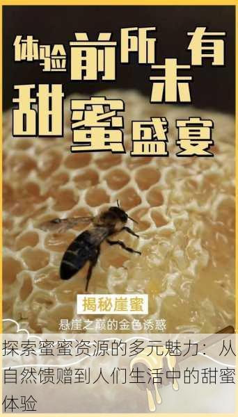 探索蜜蜜资源的多元魅力：从自然馈赠到人们生活中的甜蜜体验