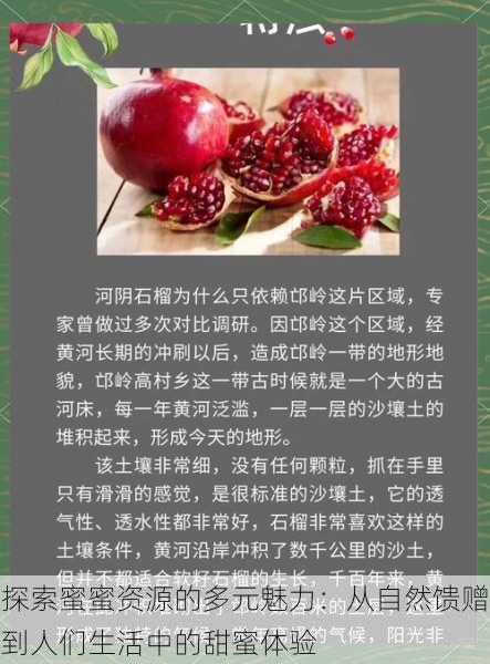 探索蜜蜜资源的多元魅力：从自然馈赠到人们生活中的甜蜜体验