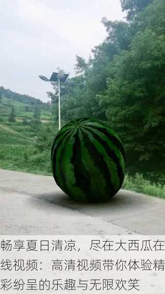 畅享夏日清凉,尽在大西瓜在线视频:高清视频带你体验精彩纷呈的乐趣与无限欢笑