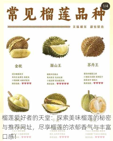 榴莲爱好者的天堂:探索美味榴莲的秘密与推荐网址,尽享榴莲的浓郁香气与丰富口感!
