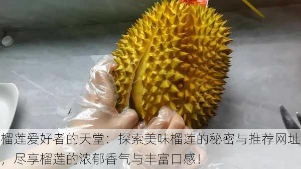 榴莲爱好者的天堂:探索美味榴莲的秘密与推荐网址,尽享榴莲的浓郁香气与丰富口感!
