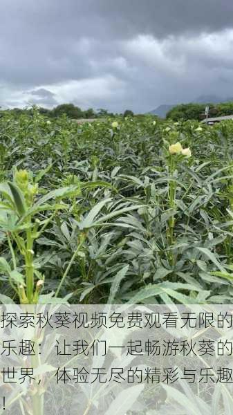 探索秋葵视频免费观看无限的乐趣:让我们一起畅游秋葵的世界,体验无尽的精彩与乐趣!