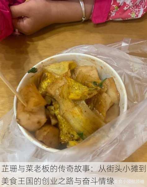 芷珊与菜老板的传奇故事:从街头小摊到美食王国的创业之路与奋斗情缘