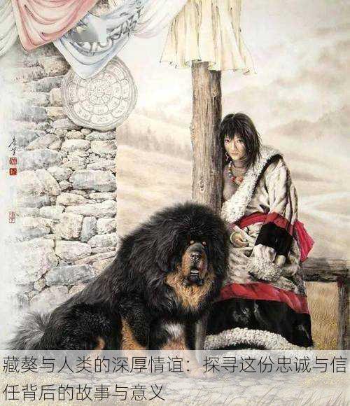 藏獒与人类的深厚情谊:探寻这份忠诚与信任背后的故事与意义
