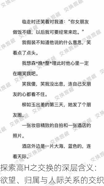 探索高H之交换的深层含义:欲望、归属与人际关系的交织