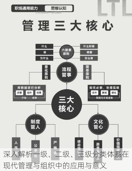 深入解析一级、二级、三级分类体系在现代管理与组织中的应用与意义
