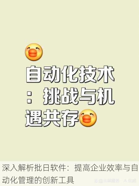 深入解析批日软件:提高企业效率与自动化管理的创新工具