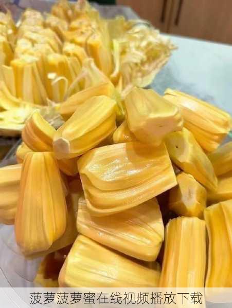 菠萝菠萝蜜在线视频播放下载