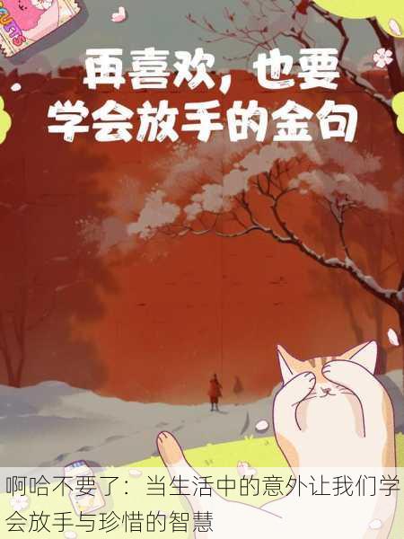 啊哈不要了：当生活中的意外让我们学会放手与珍惜的智慧