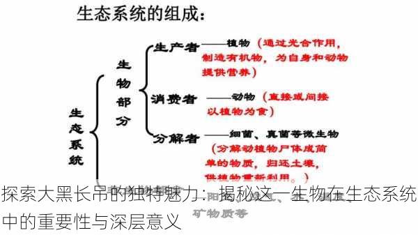 探索大黑长吊的独特魅力:揭秘这一生物在生态系统中的重要性与深层意义