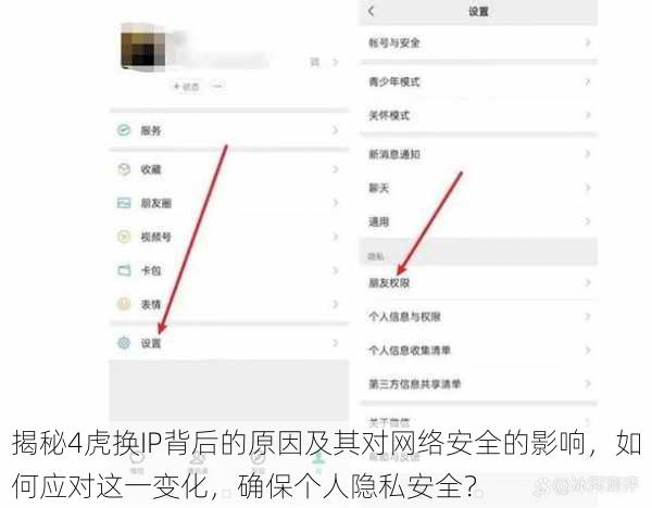 揭秘4虎换IP背后的原因及其对网络安全的影响,如何应对这一变化,确保个人隐私安全?