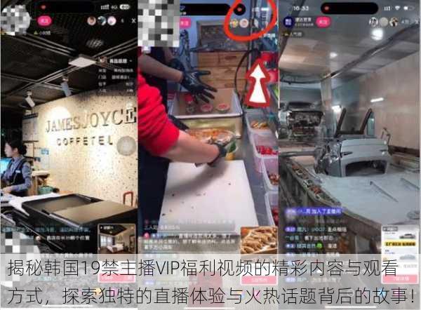 揭秘韩国19禁主播VIP福利视频的精彩内容与观看方式，探索独特的直播体验与火热话题背后的故事！