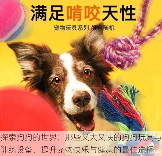 探索狗狗的世界:那些又大又快的狗狗玩具与训练设备,提升宠物快乐与健康的最佳选择