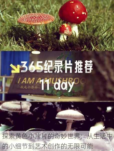探索黄色小片片的奇妙世界:从生活中的小细节到艺术创作的无限可能