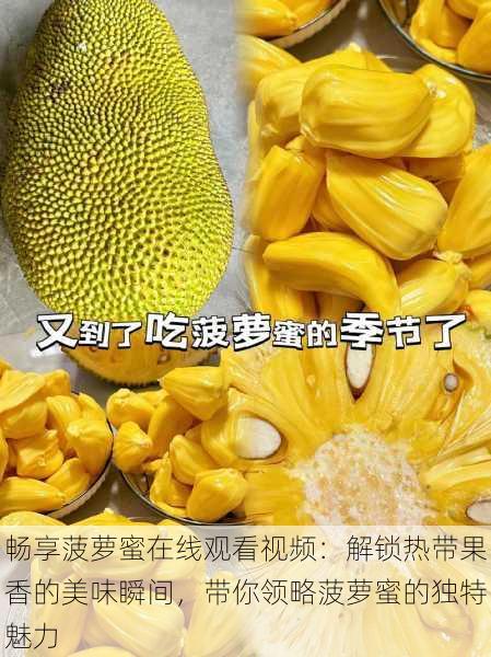 畅享菠萝蜜在线观看视频:解锁热带果香的美味瞬间,带你领略菠萝蜜的独特魅力