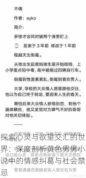 探索心灵与欲望交汇的世界:深度剖析黄色男男小说中的情感纠葛与社会禁忌