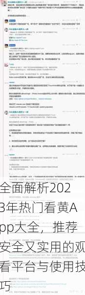 全面解析2023年热门看黄App大全,推荐安全又实用的观看平台与使用技巧