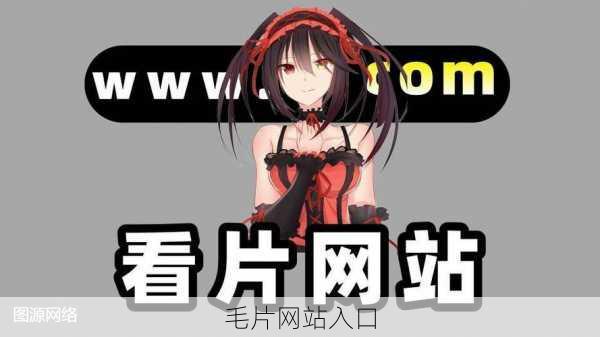 毛片网站入口