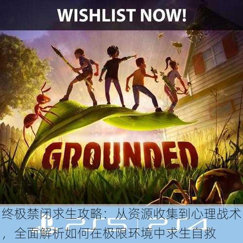 终极禁闭求生攻略:从资源收集到心理战术,全面解析如何在极限环境中求生自救