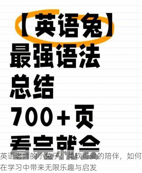 英语老师的小兔子:柔软可爱的陪伴,如何在学习中带来无限乐趣与启发