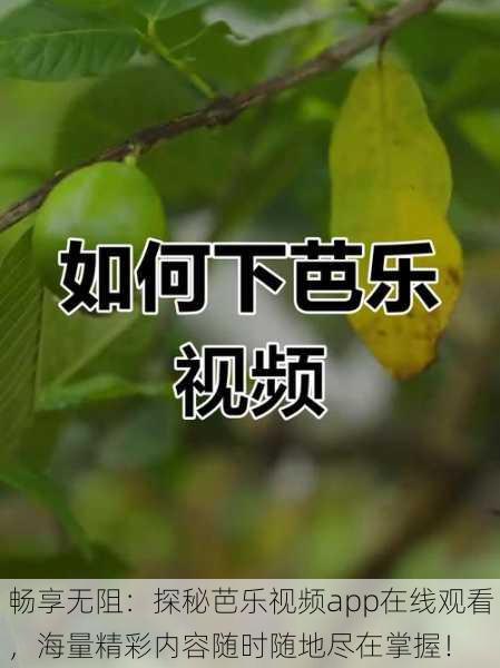 畅享无阻:探秘芭乐视频app在线观看,海量精彩内容随时随地尽在掌握!