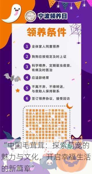 “中国毛茸茸:探索萌宠的魅力与文化,开启幸福生活的新篇章”