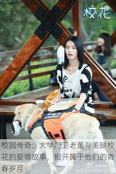 校园传奇:大学门卫老董与美腿校花的爱情故事,揭开属于他们的青春岁月