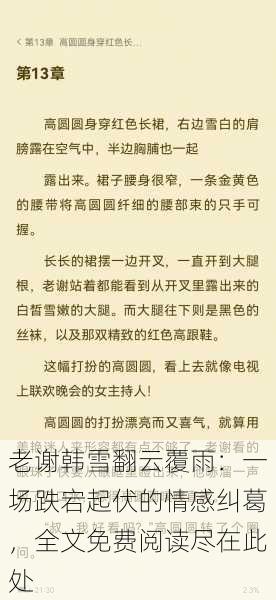 老谢韩雪翻云覆雨:一场跌宕起伏的情感纠葛,全文免费阅读尽在此处