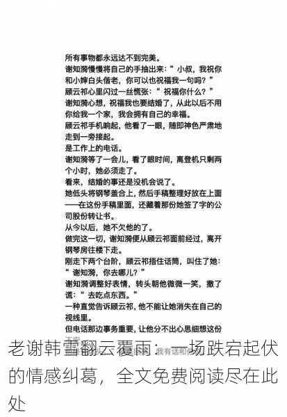 老谢韩雪翻云覆雨:一场跌宕起伏的情感纠葛,全文免费阅读尽在此处