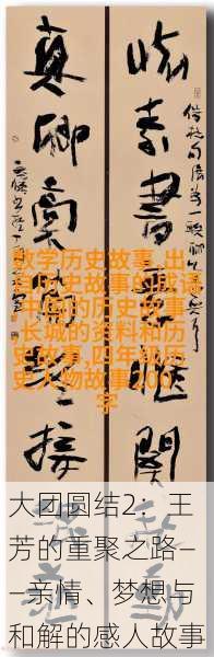 大团圆结2:王芳的重聚之路——亲情、梦想与和解的感人故事
