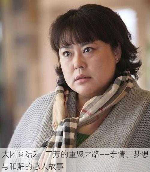 大团圆结2:王芳的重聚之路——亲情、梦想与和解的感人故事