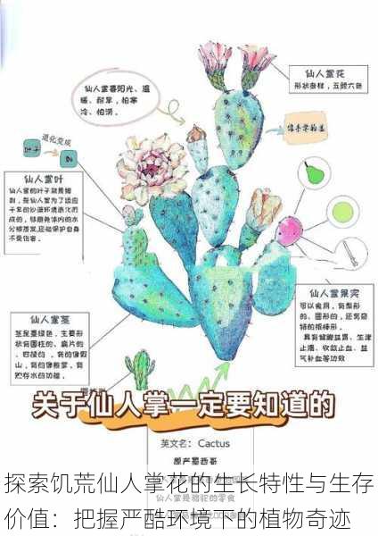 探索饥荒仙人掌花的生长特性与生存价值:把握严酷环境下的植物奇迹