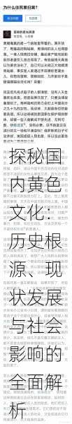 探秘国内黄色文化:历史根源、现状发展与社会影响的全面解析