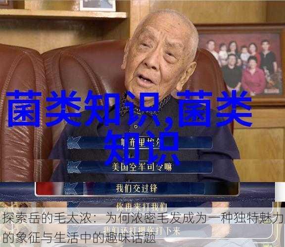 探索岳的毛太浓：为何浓密毛发成为一种独特魅力的象征与生活中的趣味话题
